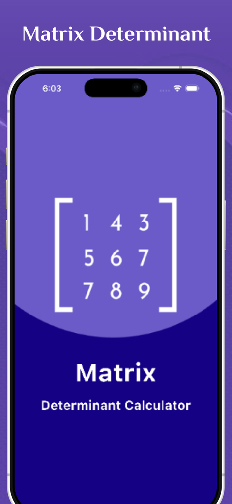 Matrix Determinant Calculator app interface showing a 3x3 matrix on a purple background