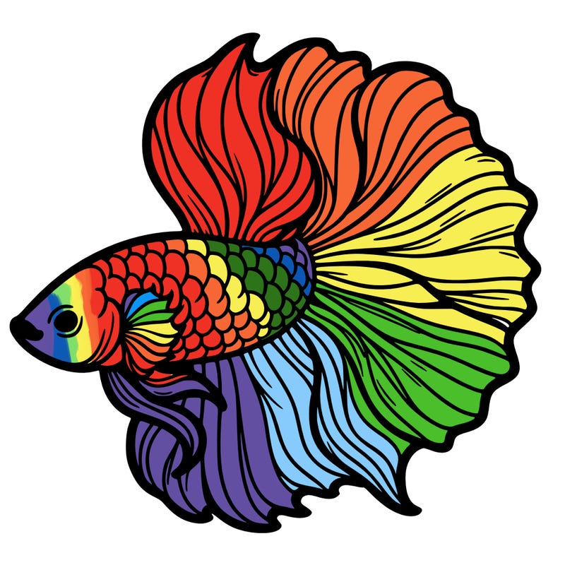 betta fish