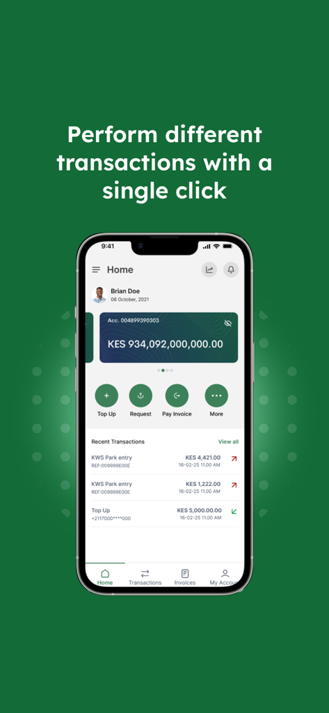 eCitizen Wallet - Panel de la aplicación eCitizen Wallet que muestra el saldo de la cuenta y las transacciones recientes