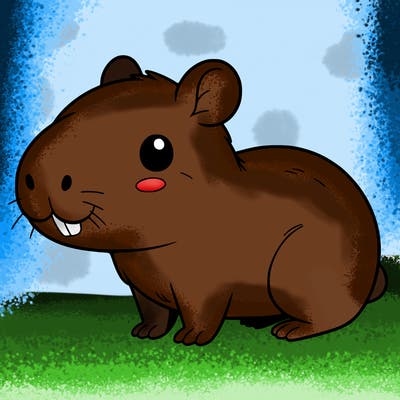 cute capybara