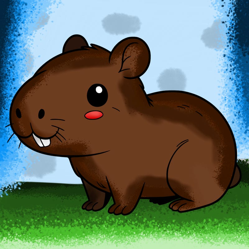 cute capybara