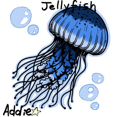realistic jellyfish