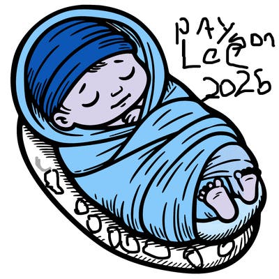 swaddled newborn preemie.