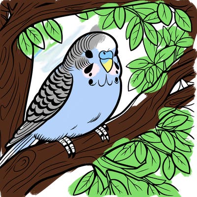 budgerigar in a tree