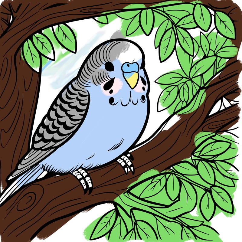 budgerigar in a tree