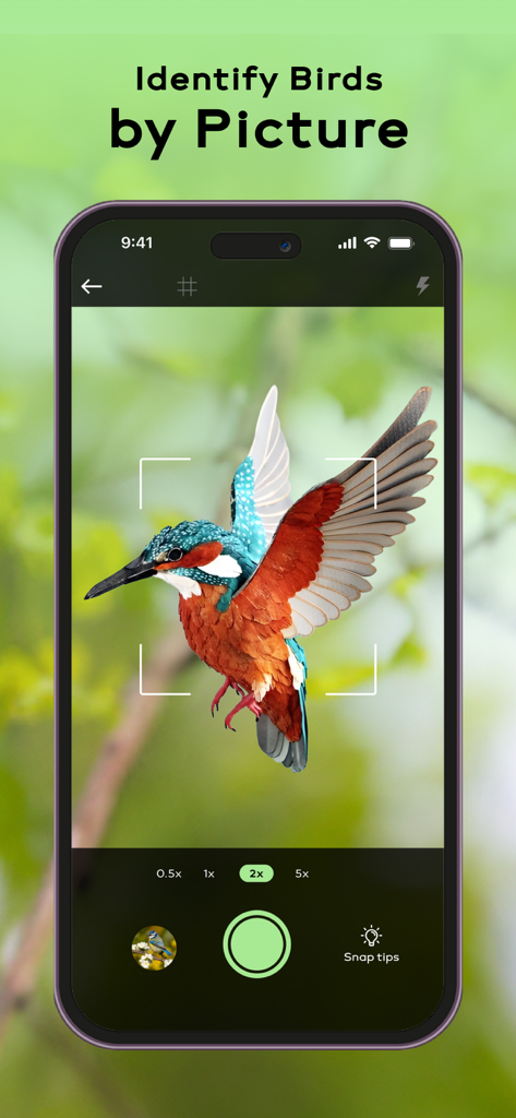 Bird Sounds Identifier Call ID - Una pantalla de aplicación de smartphone que muestra la función para identificar un ave usando una foto