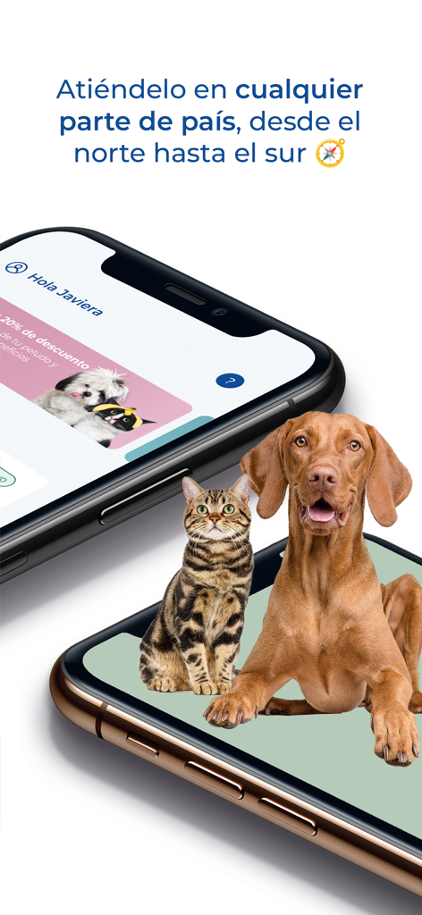 Pawer - A smartphone screen displaying the Pawer app interface with a dog and cat representing pet wellness services