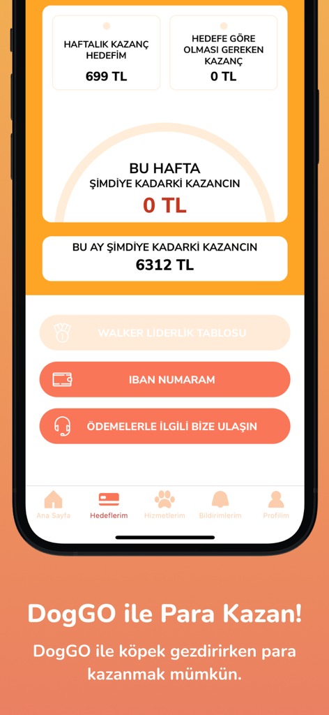 DogGO Walker: For Pet Services - DogGO Walker app dashboard displaying weekly and monthly earnings tracking for pet sitters.