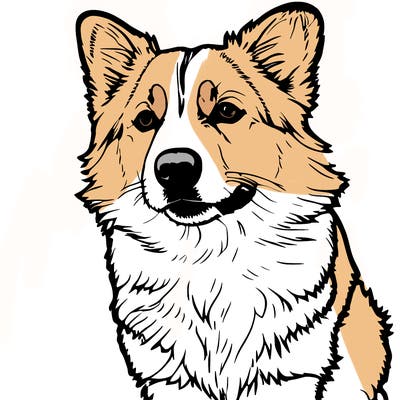 corgi