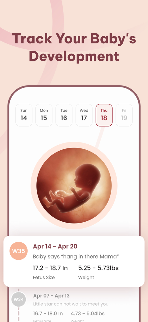 Chloe: Ovulation Tracker - Chloe app pregnancy calendar showing baby development and size statistics for week 35