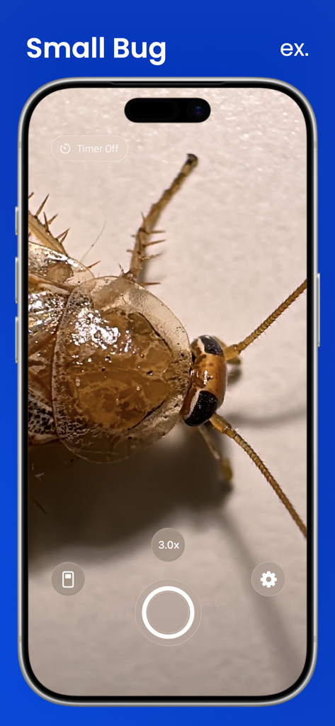 iPhone screen displaying a highly detailed macro photo of a small bug using the Macroscope Cam app.