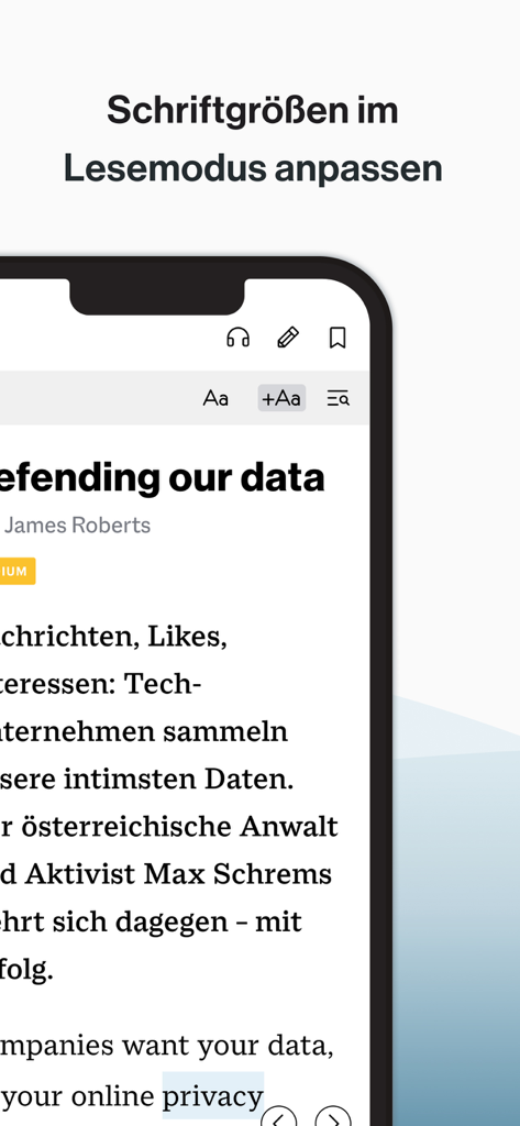 Interface of the Business Spotlight app showing adjustable font size settings in reading mode.