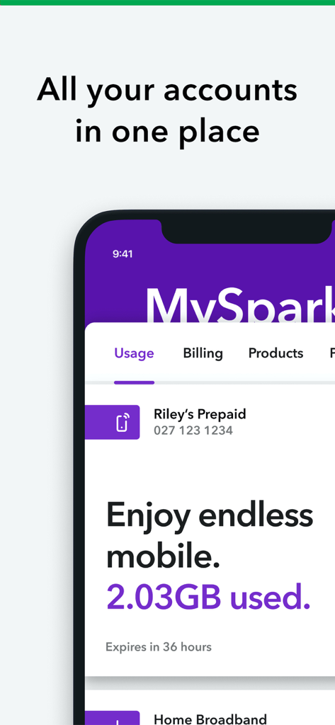 Spark NZ mobile app dashboard displaying data usage and plan details