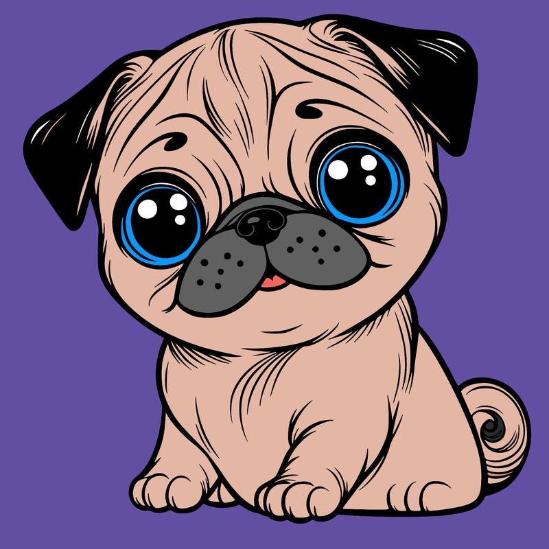 pug