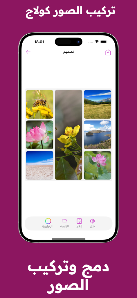 دمج وتركيب الصور مصمم اطارات - La pantalla de un smartphone mostrando un creador de collages de fotos con varias imágenes de la naturaleza y herramientas de edición en árabe.