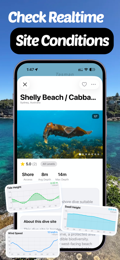 WikiBubbles: Dive & Snorkel - WikiBubbles app screen showing real time dive site conditions like tide and swell for Shelly Beach