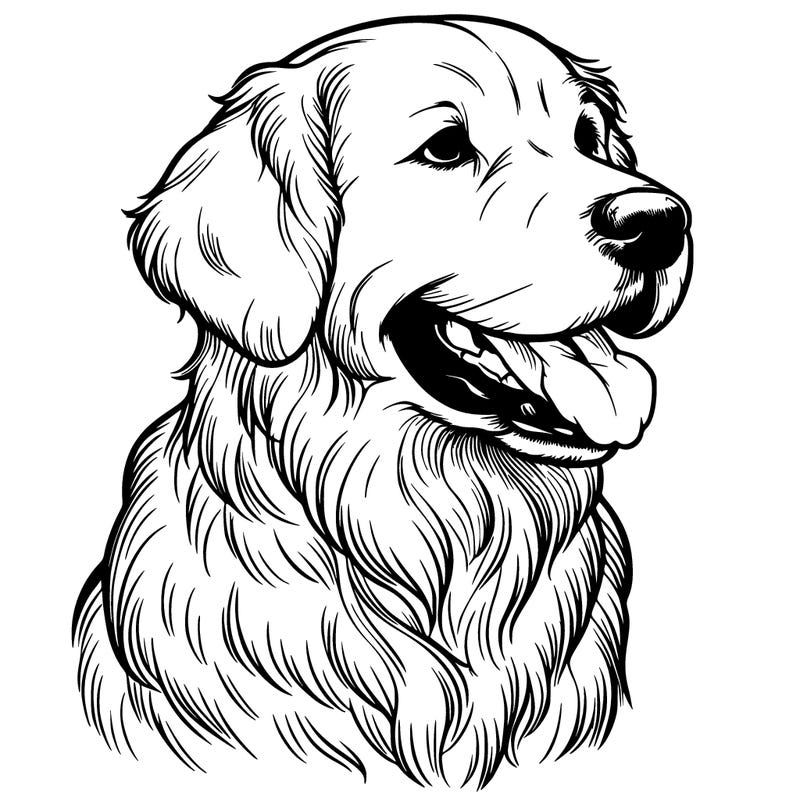 realistic golden retriever