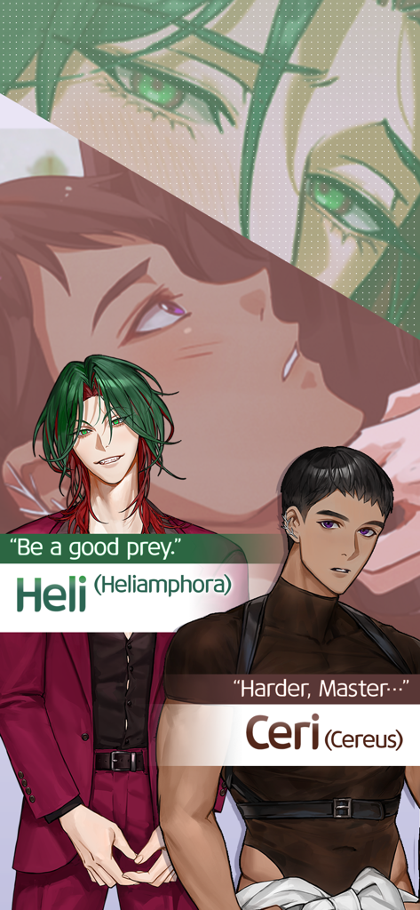Secret Crossing : story game - Two male anime characters Heli and Ceri from the game Secret Crossing with dialogue