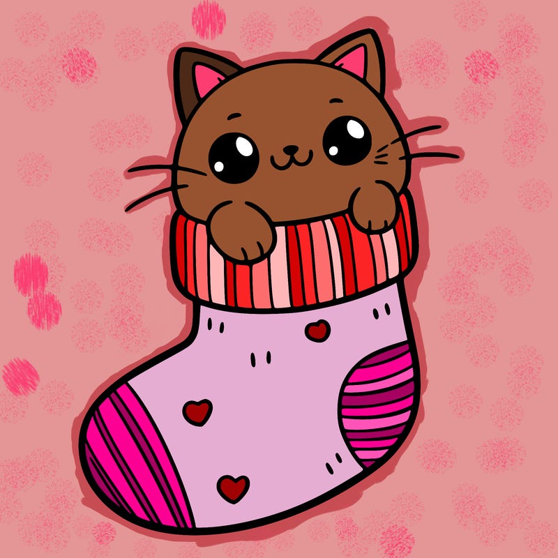 cute cat in a sock