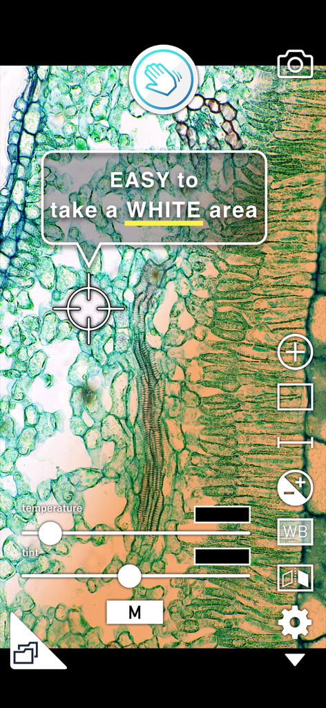 Interfaccia dell'app per microscopio che mostra i cursori manuali per la temperatura del bilanciamento del bianco e la tinta su un campione vegetale