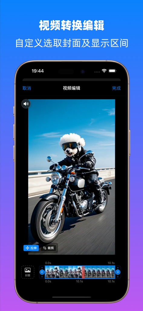 Rapid Live app interface showing video to Live Photo conversion with a dog on a motorcycle