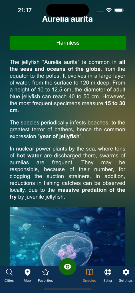 Meduseo - Detailed species information for the Aurelia aurita jellyfish in the Meduseo app