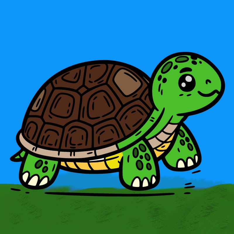 turtle
