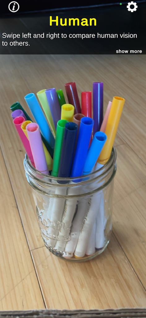 CreatureVision 앱의 인간 시야 필터로 표시된 다채로운 마커 병