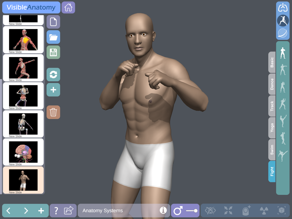 Visible Anatomy - 3D human anatomy model in a fighting stance within the Visible Anatomy app interface
