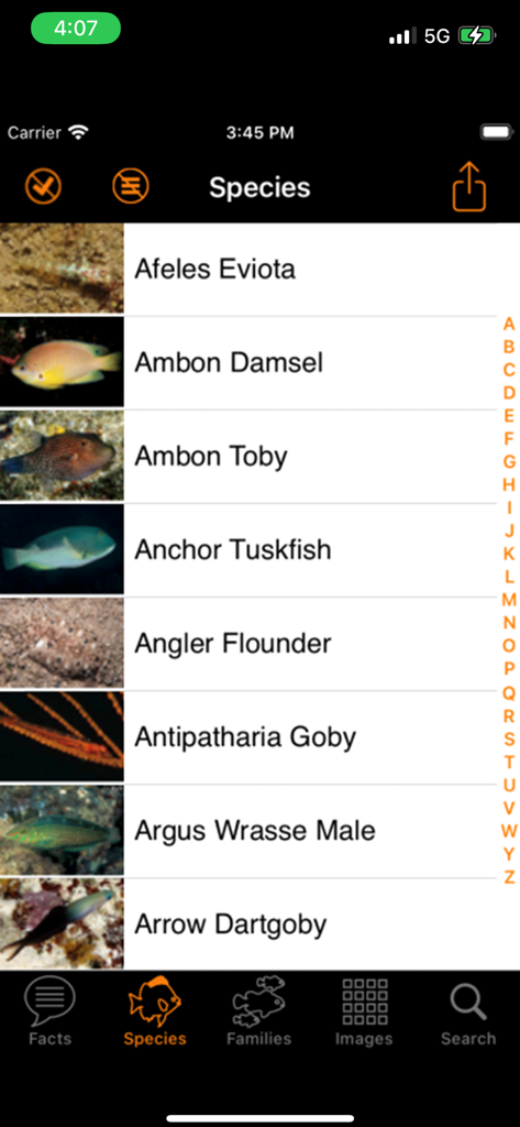 Alphabetical list of Great Barrier Reef fish species with photos and names