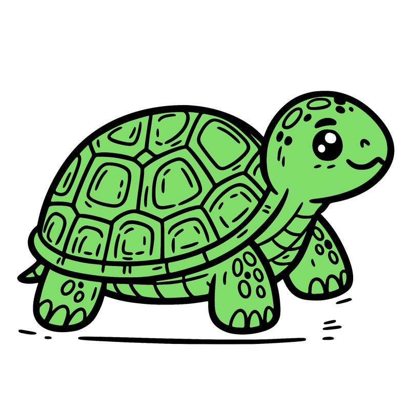 turtle