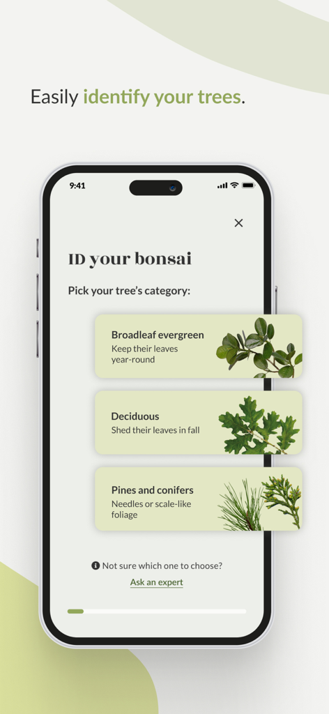 Bonsai Care App - A mobile app interface showing options to identify a bonsai tree by selecting categories like broadleaf evergreen deciduous or pines and conifers
