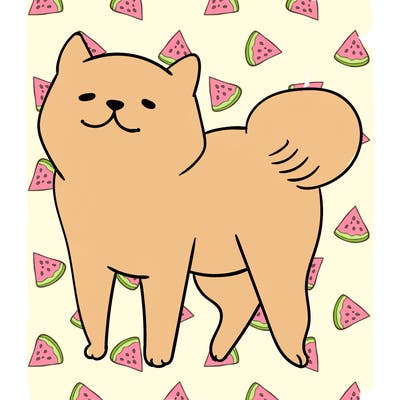 animals_29