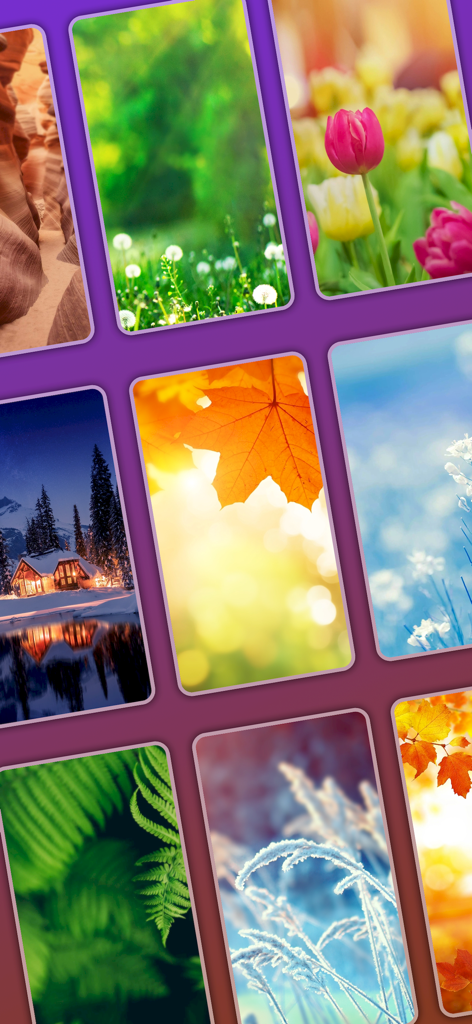 Word Crossy - Brain Word Game - A collection of beautiful nature scenes and seasonal postcards used as backgrounds in the Word Crossy brain game