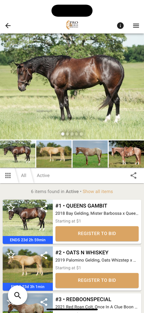 Pro Horse Services - Mobile app interface of Pro Horse Services showing active horse auction listings with photos and bidding options
