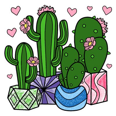 flowers_24_new