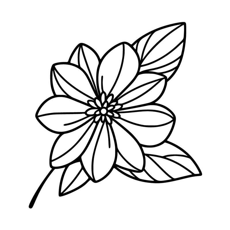 minimalist drawing of a beautiful flower