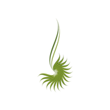 جمعية الرحمة AlRahma - App Icon