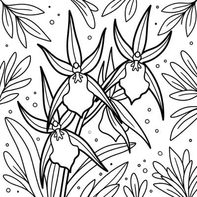 Dive into the vibrant world of Brassia 'Spider Orchids' with this charming coloring page, specially designed for toddlers. Its ultra-thick lines and large shapes make it perfect for developing fine motor skills and encouraging early creativity.