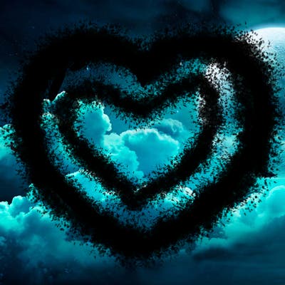 a blank heart