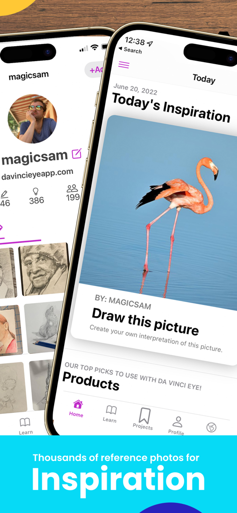 Da Vinci Eye app interface showing a flamingo reference photo for drawing inspiration