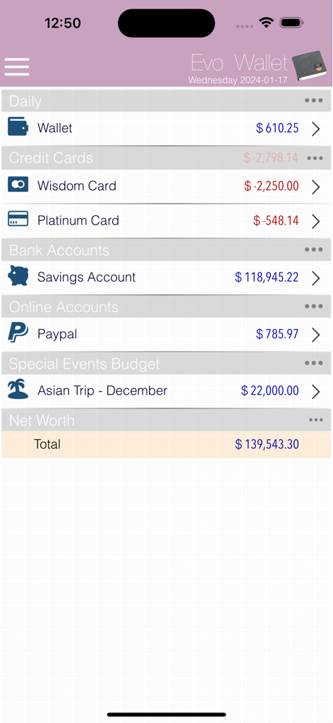 Panel de la aplicación Evo Wallet que muestra varios saldos de cuentas y el valor neto total