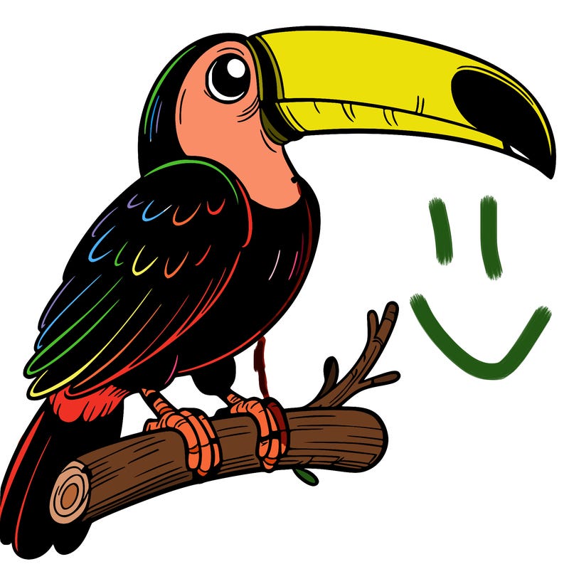 toucan on a branch