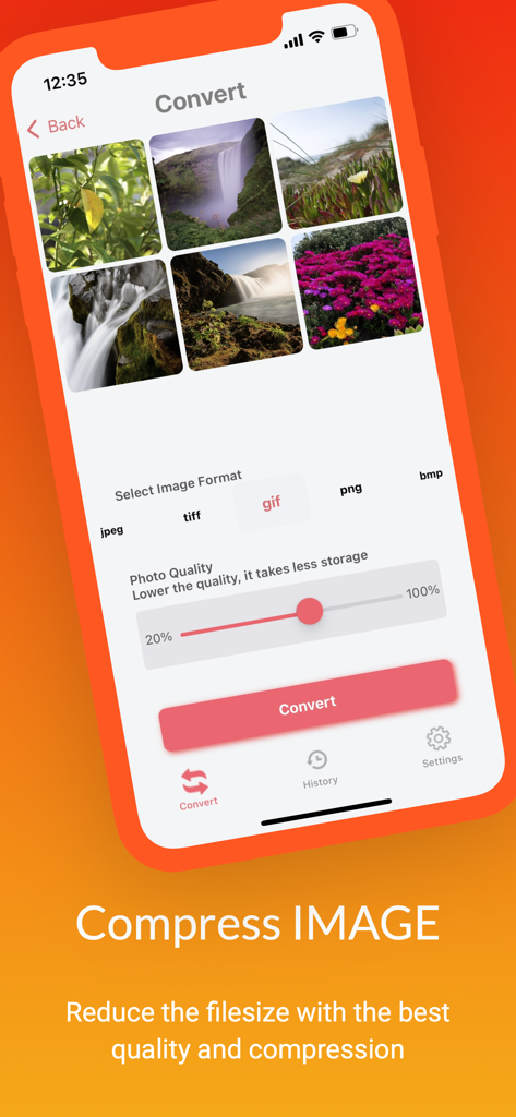 Interfaz de la aplicación Convertidor de Imágenes que muestra la selección de fotos y la configuración de compresión de calidad