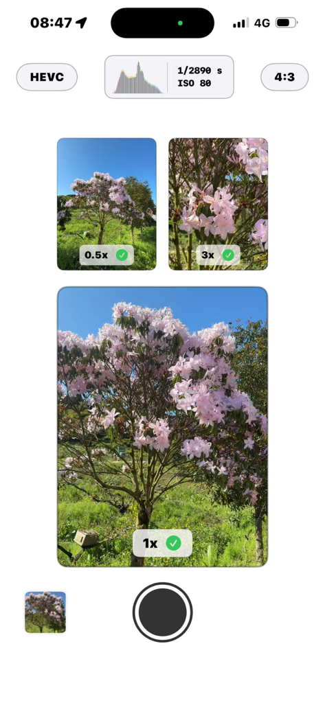 Fast Photo - Fast Photo app interface showing simultaneous ultra wide wide and telephoto camera previews of a flowering tree