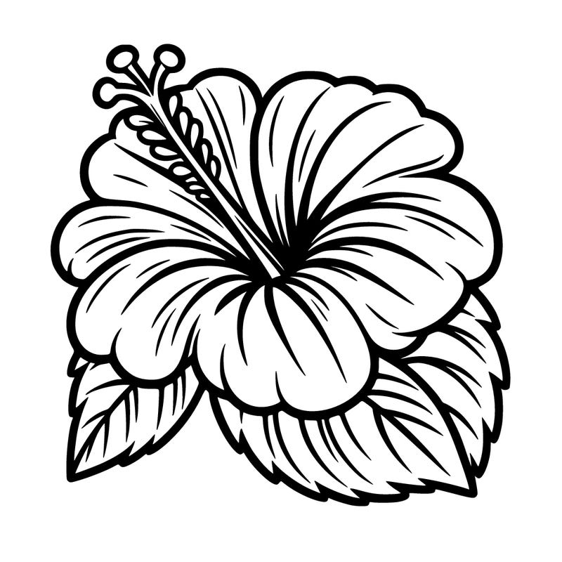 hibiscus flower