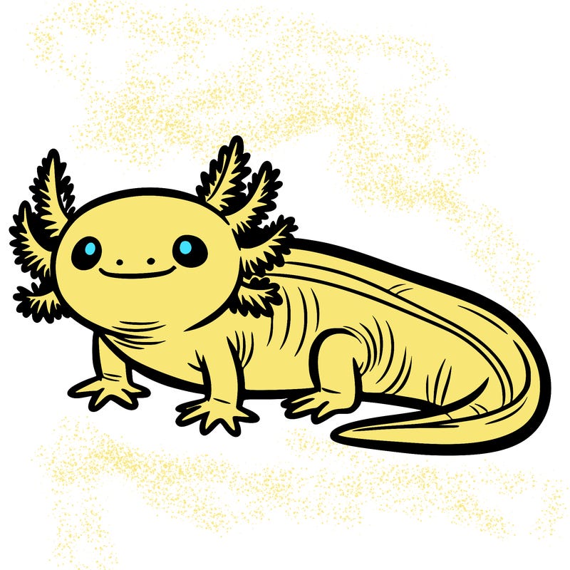 axolotl