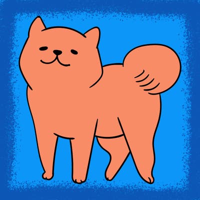 animals_29