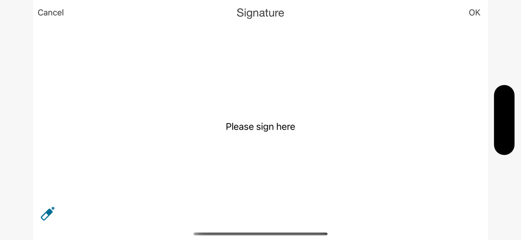 Schermata di acquisizione della firma digitale MobileNAV