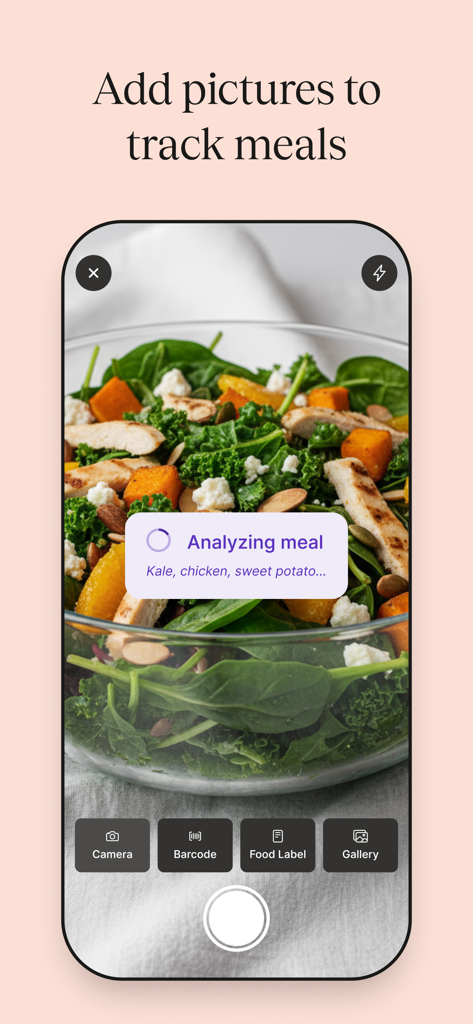 Smartphone screen showing AI analysis of a healthy meal for tracking